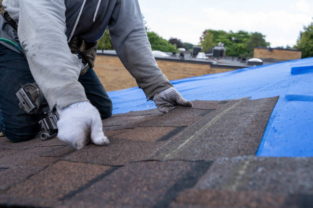Best Storm Damage Roof Repair  in Hicksville, OH